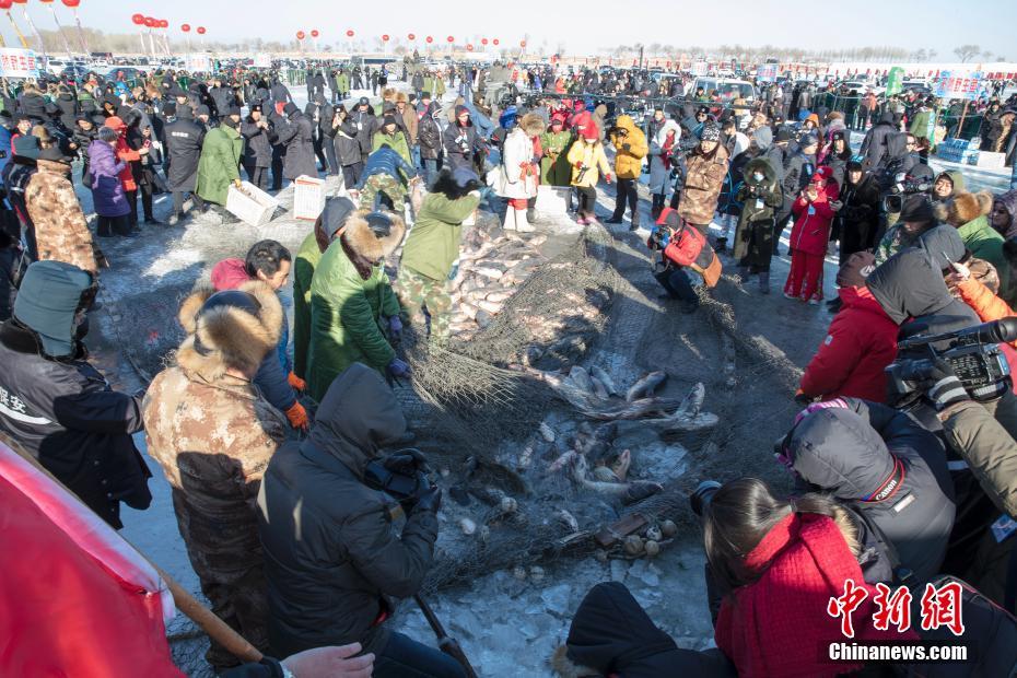 当天捕获鱼品10万余斤，其中28斤重的“头鱼”拍得55万元人民币高价。中新社记者 于琨 摄