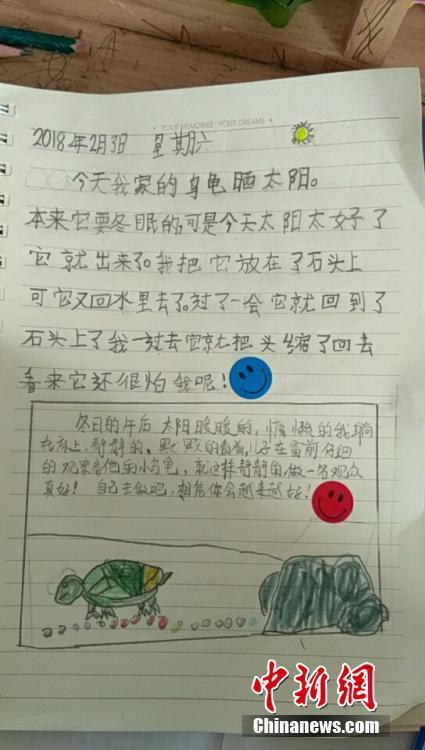 近日，河北保定市竞秀区前进小学的语文老师给一年级小学生布置写日记的寒假作业，没想到小朋友们“脑洞大开”地用图文结合的方式将立春节气、观月全食、过生日、游泳、打乒乓球、观察小动物等展现得妙趣横生。