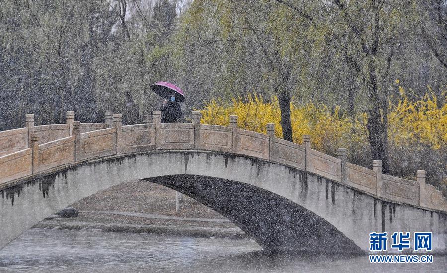 4月3日,市民在延庆区一个公园中赏雪。当日,华北中部地区气温骤降,位于燕山山脉脚下的北京市延庆区降下一场春雪。 新华社记者 李欣 摄
