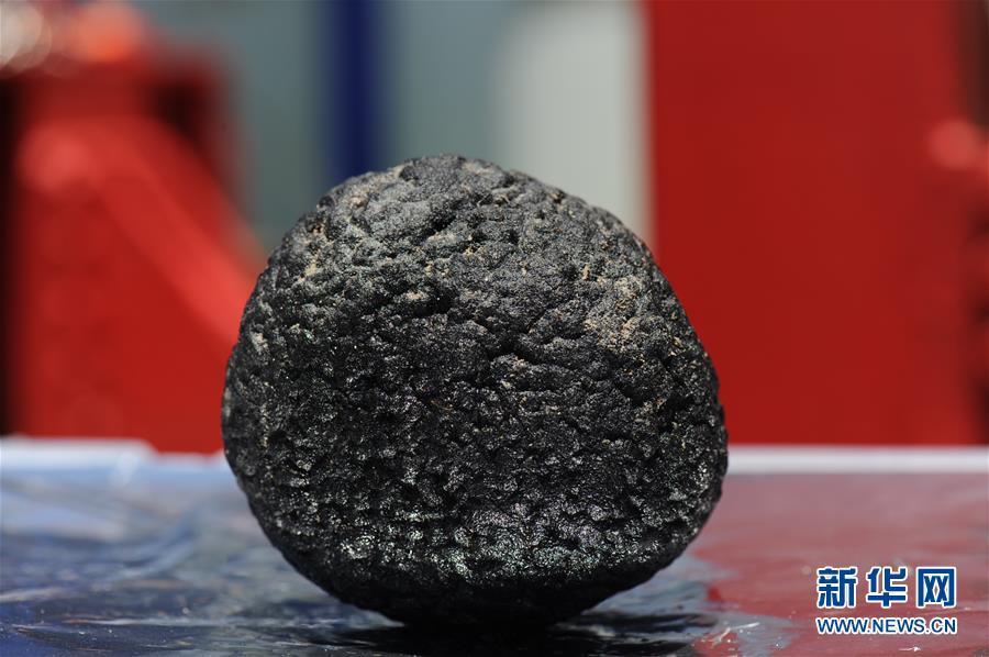 在麦哲伦海山采集的富钴结壳样品（4月8日摄）。