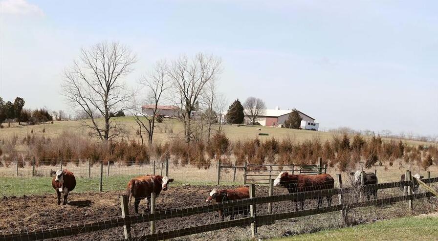 这是4月19日在美国伊利诺伊州威尔县拍摄的沃里克农场。“作为美国农民，我们对加征关税不感兴趣，但是我们需要保护自身利益。我们不愿失去中国市场，我们需要出口。”史蒂夫·沃里克，一位来自美国中西部伊利诺伊州的农民，道出许多美国农户的心声。距芝加哥约50公里的威尔县，农田一望无际，临近春季播种，万物复苏，到处洋溢绿色生机。但是，从事农业数十年的沃里克感受到的却是贸易摩擦带来的“寒意”。