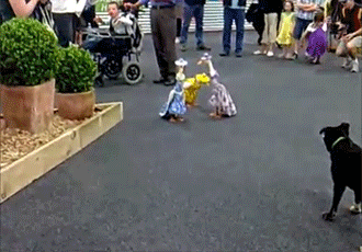 1.gif