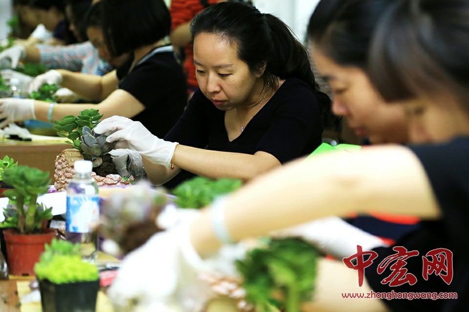 5月17日，西城社保局举办园艺培训再就业活动。图为学员现场制作多肉植物组合盆栽。中宏网记者 王悦摄