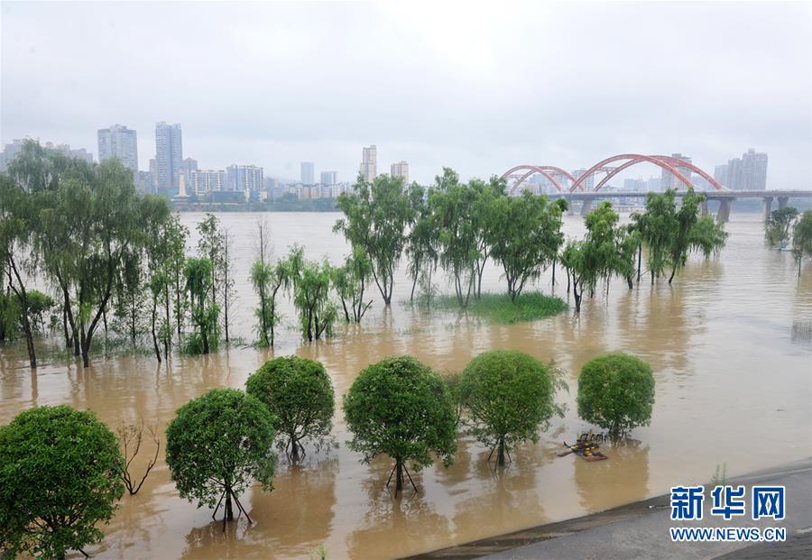 7月3日，在四川省南充市，嘉陵江南充主城区段洪峰过境，沿岸大量绿地被淹。