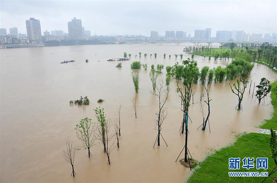 7月3日，在四川省南充市，嘉陵江南充主城区段洪峰过境，沿岸大量绿地被淹。