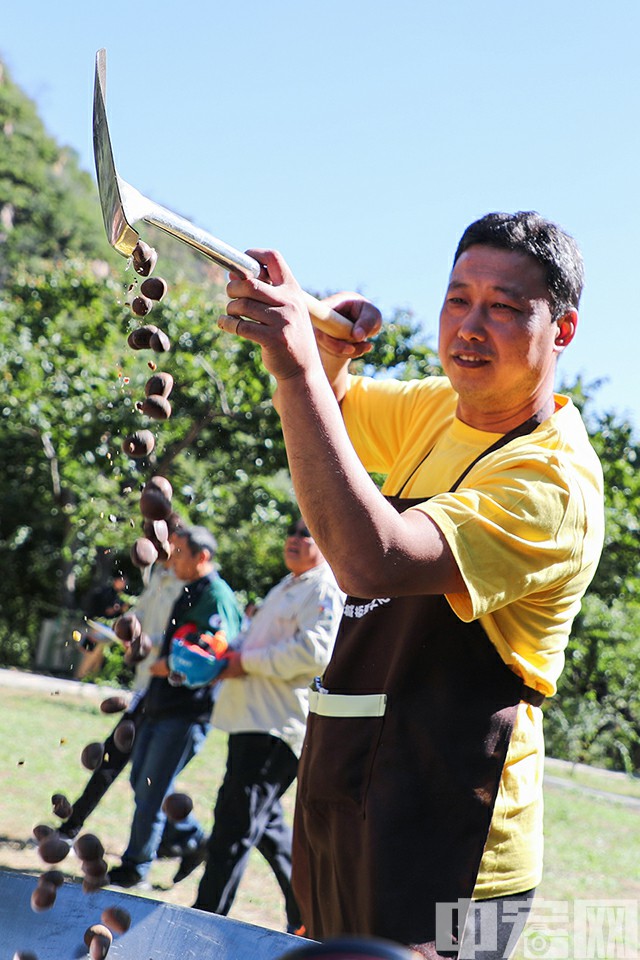 此届板栗文化节活动时间为9月21日至10月8日，围绕“五彩九渡（红金银绿青）”展开系列活动，体现活动的绚丽与多彩。