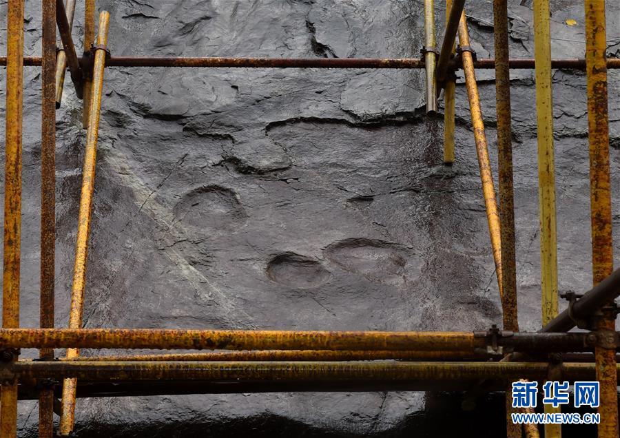 这是延庆世界地质公园内的恐龙足迹化石（10月15日摄）。  新华社记者 罗晓光 摄