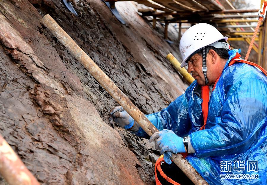 10月15日，来自希腊莱斯沃斯世界地质公园的保育专家尼古拉斯·萨拉帕克斯在清理准备敷水泥的岩缝。<br/>
　　近日，希腊莱斯沃斯世界地质公园保育专家团队、中国地质大学（北京）专家团队与北京延庆世界地质公园保育团队联手，开展新一轮延庆恐龙足迹化石试验性保育国际合作。此次合作旨在保护延庆世界地质公园恐龙足迹化石所在岩层不受雨雪侵蚀及风化影响，更清楚地呈现恐龙足迹化石形态特征。<br/>
　　北京延庆世界地质公园内的恐龙足迹化石形成于约1.5亿年前，具有重要的科学意义和研究价值。<br/>
　　新华社记者 罗晓光 摄