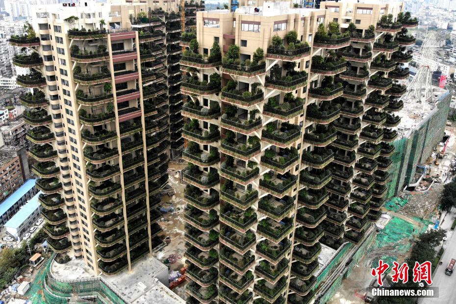 成都建首个"垂直森林"住宅小区 每一户阳台都种绿植