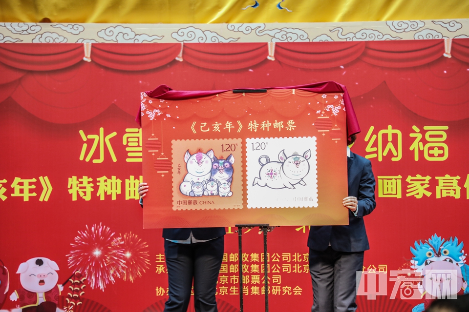 1月5日，“冰雪迎春·己亥纳福”——《己亥年》特种邮票首发仪式在北京西城区政协文史馆举行。首发仪式涵盖了《己亥年》生肖邮票揭幕（图中）、生肖封中封、纪念封、片中封揭幕等多个环节。 中宏网记者 富宇 摄