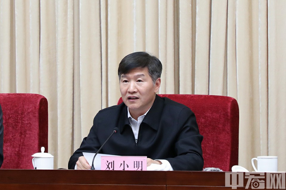 1月7日，2019年全国春运电视电话会议，交通运输部副部长刘小明讲话。