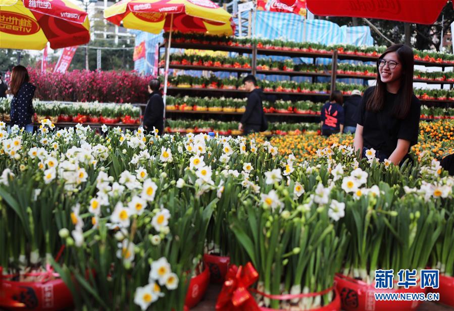2月2日，人们在香港维多利亚公园年宵花市选购花卉。 临近春节，香港各大年宵花市一日比一日红火，人们纷至沓来，赏花购物。 新华社记者 吴晓初 摄