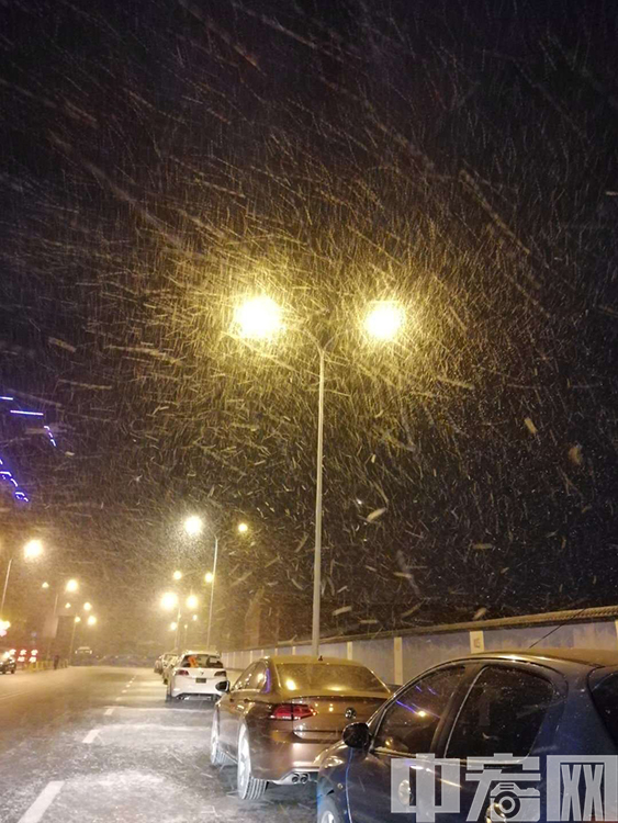 大年初二，北京迎来了今冬第一场肉眼清晰可见的降雪，网友们纷纷在社交平台晒出雪景。 网友投稿