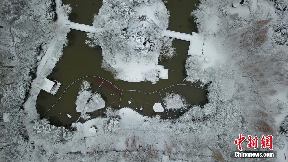 图为白雪皑皑的植被与静谧的水面相映成趣。 孟德龙 摄 图片来源：中新网