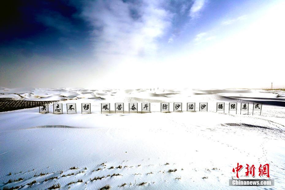 2月8日，塔克拉玛干大沙漠北部雪后的沙漠在阳光下显得十分耀眼。且末县防风治沙站的11.5万亩落叶的胡杨、梭梭等植被披上了银色的外衣。白雪覆盖的沙漠在阳光下闪烁，绘成了壮美的风景。甫拉提·尼亚孜 摄 图片来源：中新网