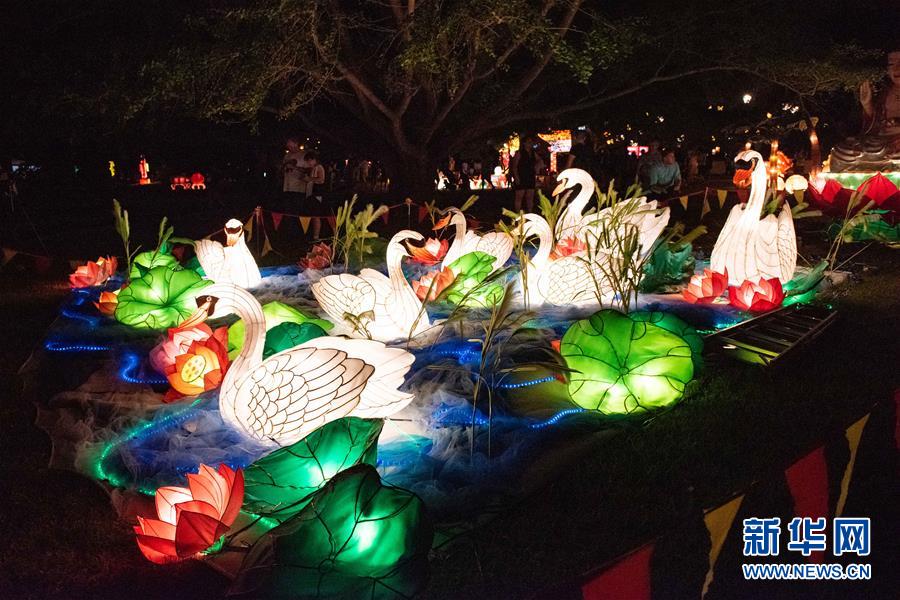 2月14日，人们在新西兰奥克兰的元宵灯节上欣赏彩灯。  新华社发（李桥桥摄）