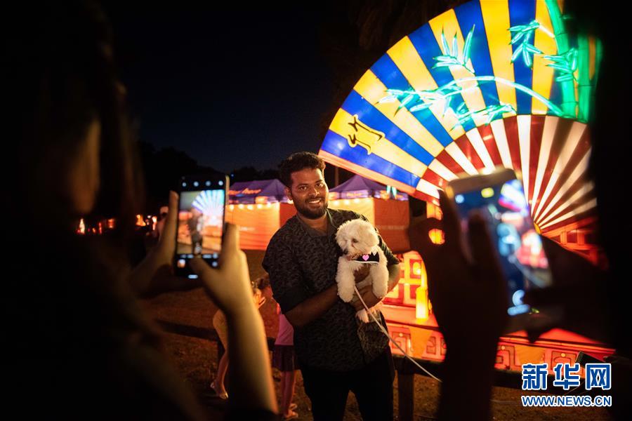 2月14日，在新西兰奥克兰的元宵灯节上，一名观众和爱犬在彩灯前合影。  新华社发（李桥桥摄）