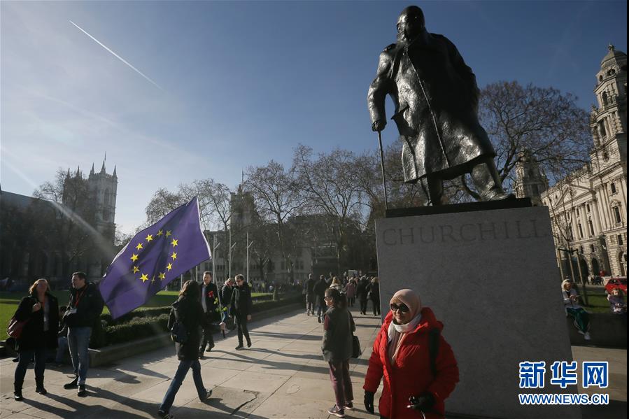 2月14日，在英国伦敦，一名反对“脱欧”人士手持玫瑰走过丘吉尔的雕像。新华社发（蒂姆·爱尔兰摄）