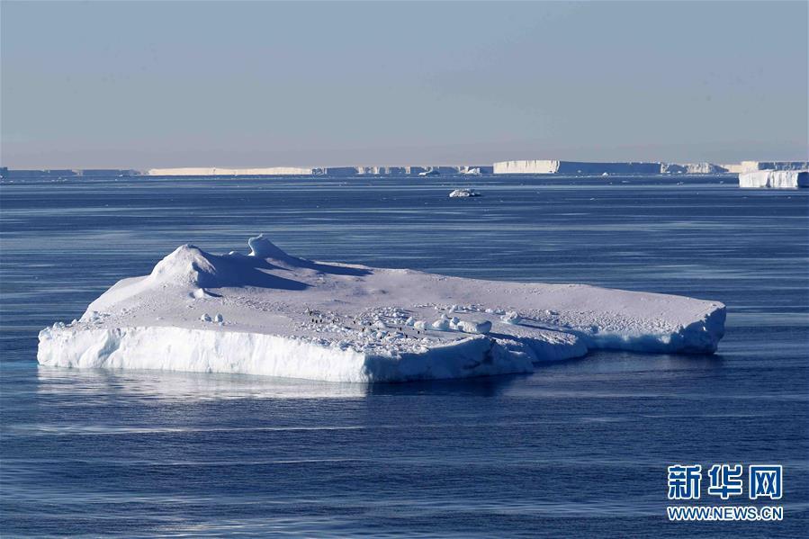南极西冰架海域的冰山群。新华社记者 刘诗平 摄 图片来源：新华网