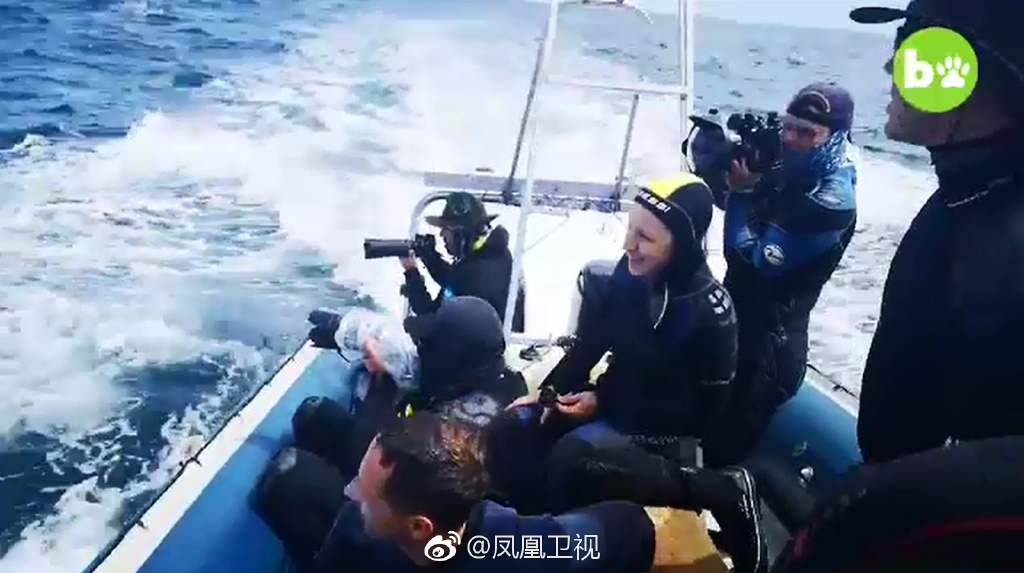 潜水员的伙伴，顺势举起了相机，拍下了这惊险的一幕… 来源：凤凰卫视官方微博