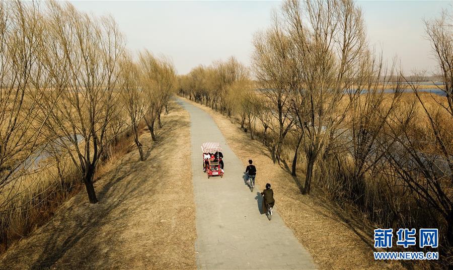 游客在北京野鸭湖国家湿地公园游览（3月17日无人机拍摄）。 3月15日，北京野鸭湖国家湿地公园在冬季休园后，重新开园迎接游客的到来。 新华社记者 张晨霖 摄