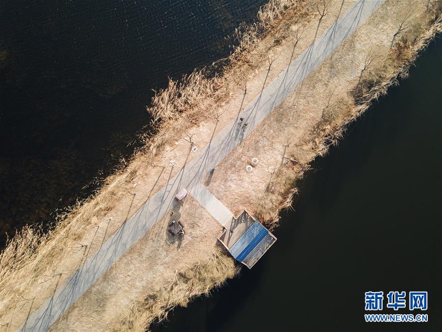 游客在北京野鸭湖国家湿地公园游览（3月17日无人机拍摄）。 3月15日，北京野鸭湖国家湿地公园在冬季休园后，重新开园迎接游客的到来。 新华社记者 鞠焕宗 摄