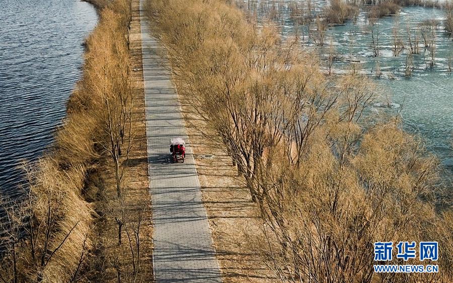 游客在北京野鸭湖国家湿地公园游览（3月17日无人机拍摄）。 3月15日，北京野鸭湖国家湿地公园在冬季休园后，重新开园迎接游客的到来。 新华社记者 王建华 摄