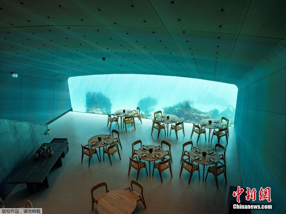 这家半淹没式餐厅不但可以为顾客提供美食，还可以在用餐时间欣赏北大西洋水下的风景。 图片来源：中新网