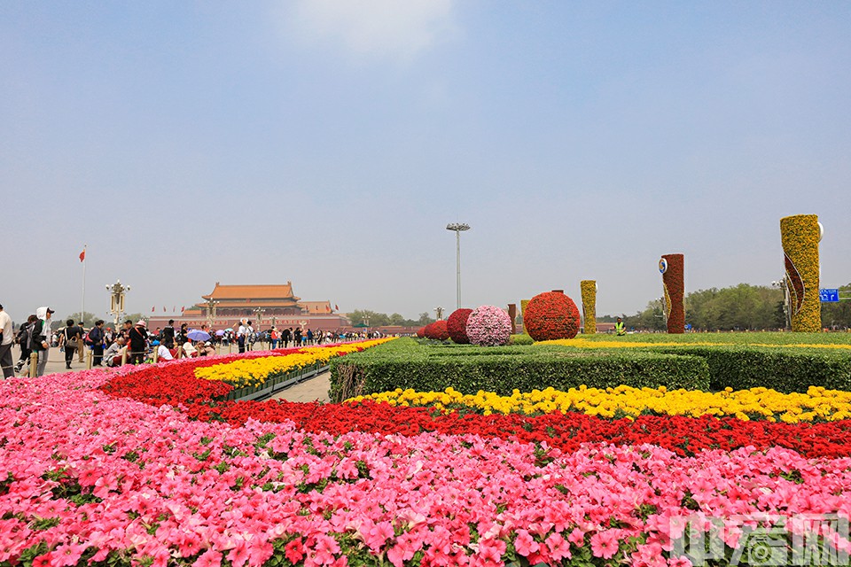 第二届“一带一路”国际合作高峰论坛，以“共建‘一带一路’、开创美好未来”为主题，于2019年4月25日到27日在北京举行。为迎接第二届“一带一路”国际合作高峰论坛的举行，在天安门广场、东单、西单等地设置了11处主题花坛。<br/>
图为位于天安门广场上的第二届“一带一路”国际合作高峰论坛景观主题花坛。中宏网记者 康书源 摄