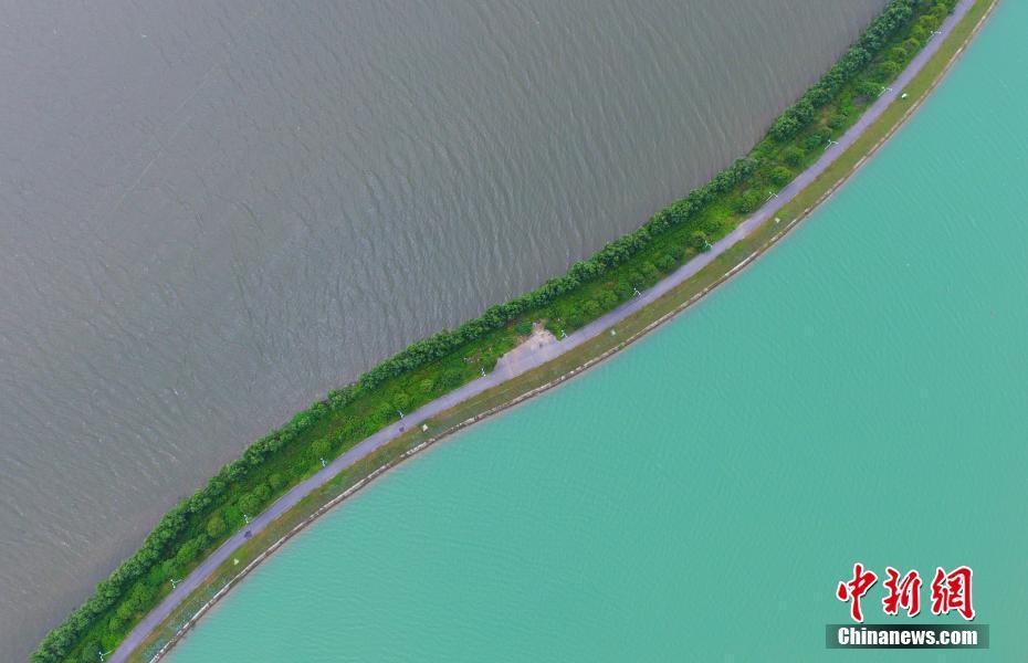 5月20日，航拍江西南昌地区最大的内陆天然湖泊——瑶湖，与坐落于其中的江西瑶湖国际水上运动中心，两者形成“一半灰色一半碧绿”的景观。中新社记者 刘占昆 摄