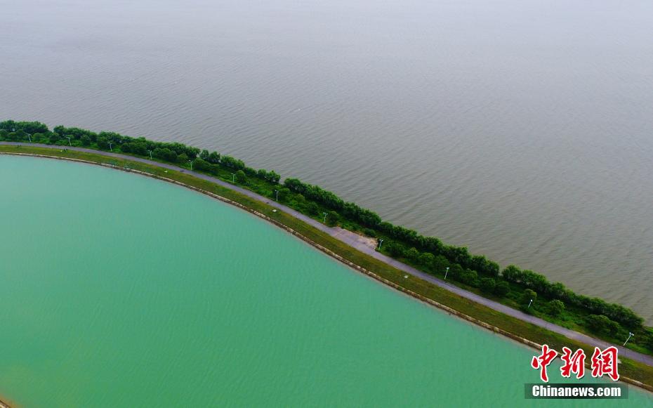 5月20日，航拍江西南昌地区最大的内陆天然湖泊——瑶湖，与坐落于其中的江西瑶湖国际水上运动中心，两者形成“一半灰色一半碧绿”的景观。中新社记者 刘占昆 摄