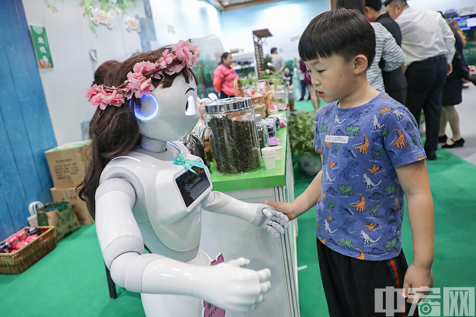 5月22日，北京军事博物馆，2019北京科技周展区，观众与云端智能机器人互动。