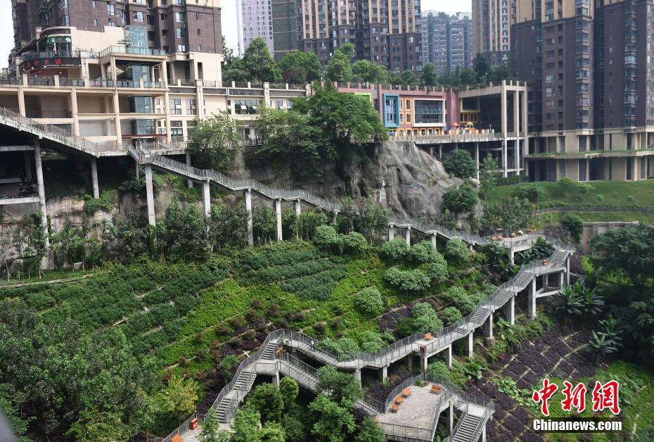 重庆一小区与半坡栈道相连，吸引市民前往体验。周毅 摄 图片来源：中新网