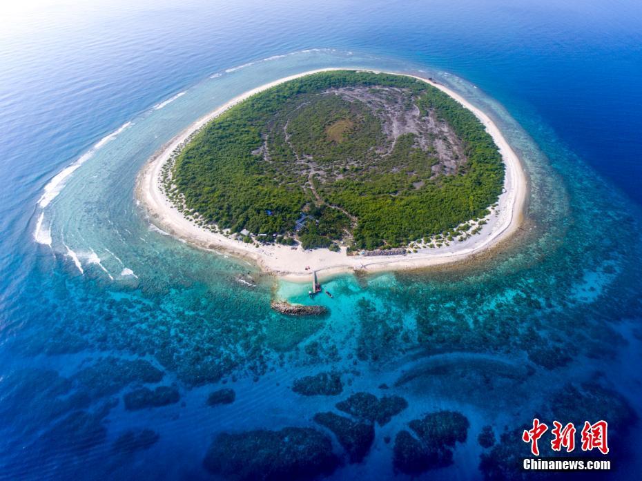 5月22日,记者乘船踏上位于海南省三沙市西沙永乐群岛的甘泉岛。甘泉岛呈椭圆形,面积约0.3平方公里,因岛上有甘泉井水而著名,是西沙群岛中唯一有淡水井的岛屿,岛上有土壤、植被繁茂多样。 骆云飞 摄 图片来源:中新网