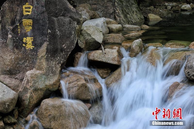 黄山白云溪在云际峰下,近日一场雨水过后,白云溪溪水上涨,银白如注.