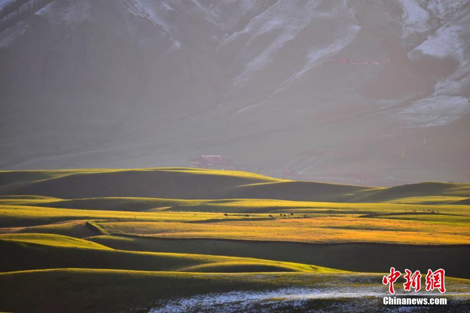 草原景色。武雪峰 摄 图片来源：中新网