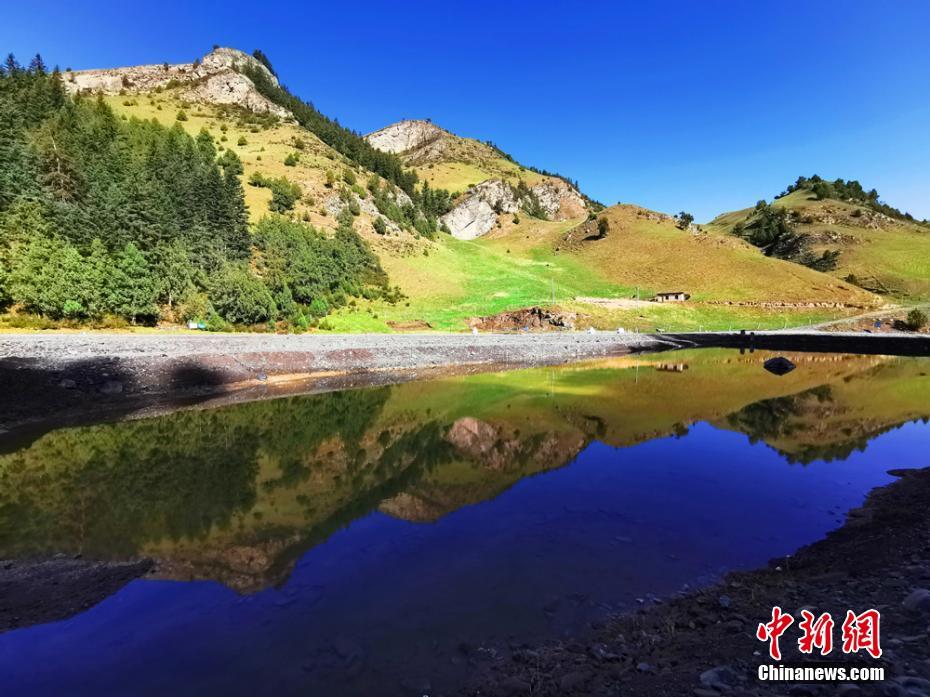 放眼望去，漫山遍野绿草如茵，蓝天、流云辉映雪山，美不胜收。武雪峰 摄 图片来源：中新网