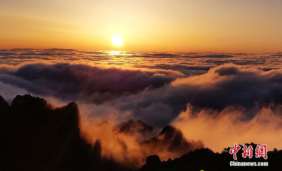 6月14日清晨，安徽黄山现大面积云海景观，云浪金辉熠熠，蔚为壮观。中新社发 叶永清 摄