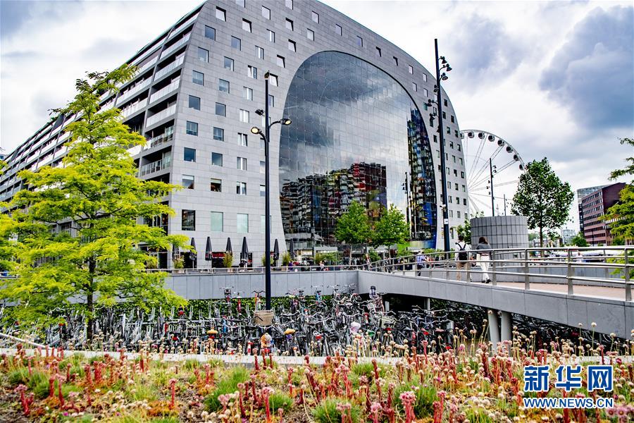 这是6月16日在荷兰鹿特丹缤纷菜市场旁拍摄的自行车停车场。 通过不断更新的城镇化可持续发展战略、持续细化的政策措施和项目实施，荷兰在绿色城市建设方面取得了突出成就。荷兰多地以全面整体的方式对交通、能源、建筑、水资源和垃圾系统进行改进，进一步完善城市功能，打造绿色宜居城市。 新华社发（罗宾·乌得勒支摄）