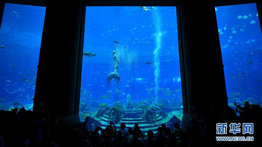 7月10日，游客在三亚亚特兰蒂斯水族馆观看“美人鱼”表演。 暑假期间，三亚进入旅游旺季。新华社记者 郭程 摄