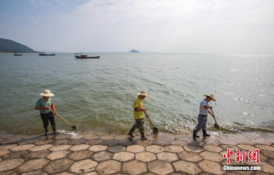 7月10日,江西都昌县组织工作人员在鄱阳湖都昌矶山下坝巡查险情。受持续强降雨影响,中国最大淡水湖鄱阳湖水位持续上涨,截至7月10日18时,鄱阳湖都昌站和星子站水位分别为19.04米和19.11米,均超过警戒水位,为近两年来最高水位。当前鄱阳湖水位还在快速上涨。水文部门7月10日16时继续发布长江中游九江河段和鄱阳湖湖区洪水蓝色预警。中新社发 傅建斌 摄