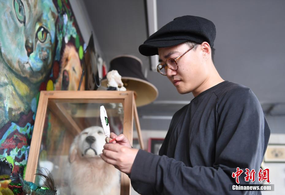 7月15日，李张达在整理其制作的动物标本。李张达是浙江杭州的一位宠物标本制作师，近年来，他制作了十多只离世宠物的标本，让爱和陪伴以另一种方式延续。中新社记者 王刚 摄