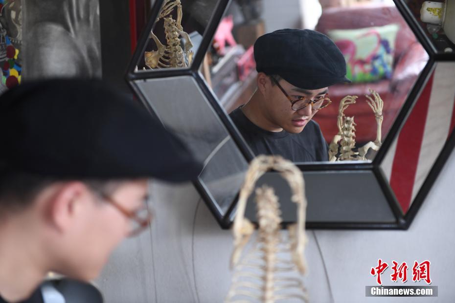 7月15日，李张达在制作动物骨架。李张达是浙江杭州的一位宠物标本制作师，近年来，他制作了十多只离世宠物的标本，让爱和陪伴以另一种方式延续。