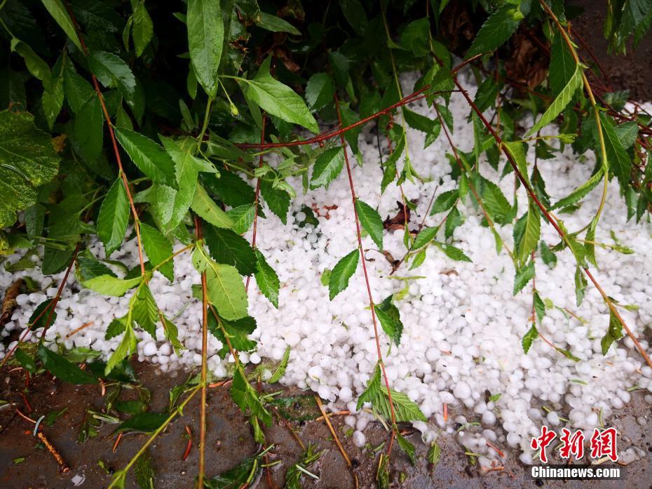 7月23日，二十四节气大暑时节，甘肃张掖高台县新坝镇遭遇冰雹袭击。中新社发 成学磊 摄
