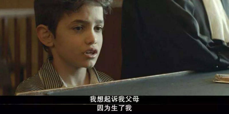timg5TPPJ0JN.jpg