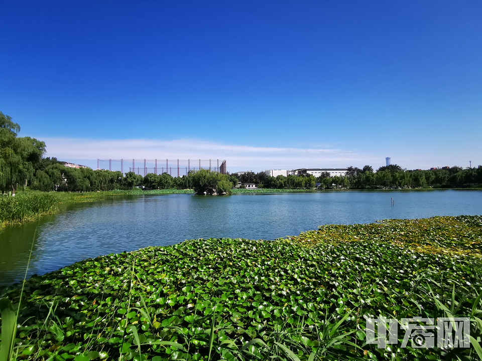 8月21日，京城迎来蓝天白云的好天气。不少市民在龙潭西湖公园散步赏荷，格外惬意。 中宏网记者 富宇 摄