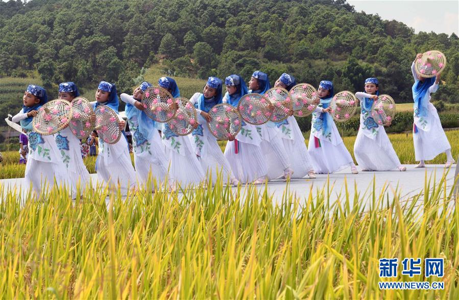 9月15日，孩子们在田野里表演舞蹈《丰收麦田》。 金秋时节，云南省寻甸回族彝族自治县在七星镇鲁古村举行庆祝丰收活动。 新华社记者 杨宗友 摄