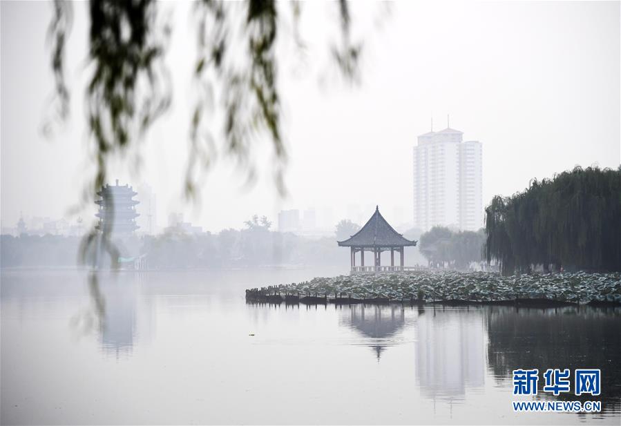 9月18日，晨雾缭绕下的大明湖。 新华社记者王凯摄