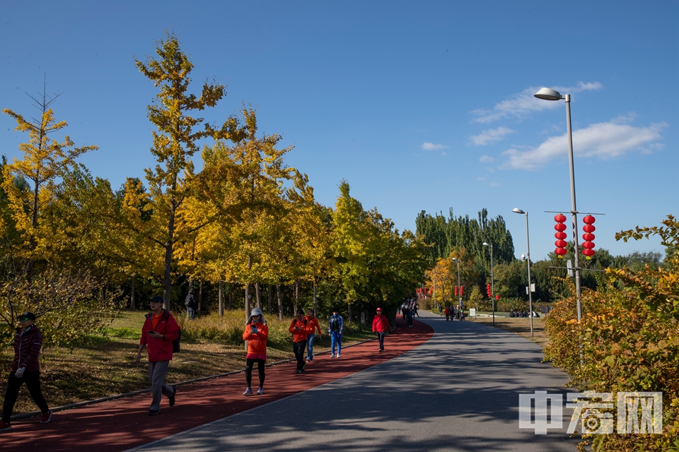 在奥林匹克森林公园，渐浓的秋色吸引不少游客前来赏景。 中宏网记者 富宇 摄