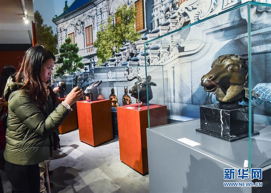 11月13日，观众在“回归之路——新中国成立70周年流失文物回归成果展”上参观圆明园马首铜像（右）。 新华社记者 李贺 摄